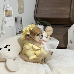 whatsapp网页版好友变少 whatsapp扫描电脑二维码没有反应 