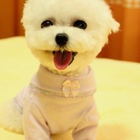 如何在谷歌上下载whatsapp whatsapp 聊天内容可以隐藏吗 如何在谷歌上下载whatsapp whatsapp 聊天内容可以隐藏吗