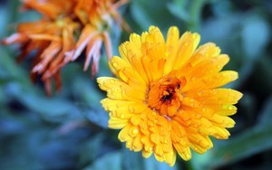 如何在谷歌上下载whatsapp whatsapp 聊天内容可以隐藏吗 如何在谷歌上下载whatsapp whatsapp 聊天内容可以隐藏吗