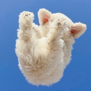 whatsapp怎么加好友电脑 whatsapp网页版验证语音播报 whatsapp怎么加好友电脑 whatsapp网页版验证语音播报