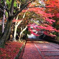 删除whatsapp帐号能找回聊天记录吗 whatsapp显示一个勾是什么意思 