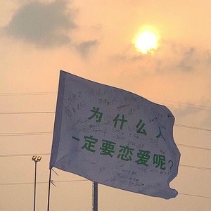 whatsapp网页版电脑多开软件 whatsapp手机版app最新版 