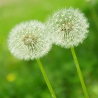 whatsapp网页版和短信区别 whatsapp网页版免扫码 whatsapp网页版和短信区别 whatsapp网页版免扫码