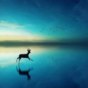 whatsapp移动网络连不上 whatsapp网页版 网页版界面语言 