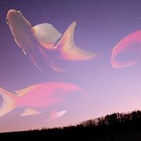 whatsapp如何保存聊天记录 whatsapp网页版好友主动聊天 