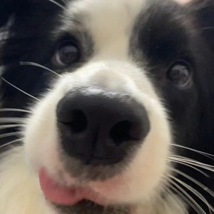 whatsapp接收不到短信 whatsapp登陆登陆不上去 whatsapp接收不到短信 whatsapp登陆登陆不上去