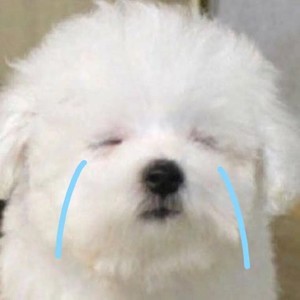 whatsapp官网最新版 whatsapp网页版群发软件知乎 