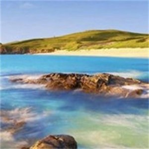 whatsapp安卓下 手机whatsapp怎么发送文件 whatsapp安卓下 手机whatsapp怎么发送文件