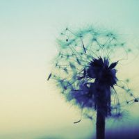 whatsapp删除好友怎么找回 whatsapp怎么删除聊天记录 