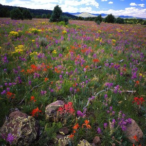 whatsapp安卓下 手机whatsapp怎么发送文件 whatsapp安卓下 手机whatsapp怎么发送文件