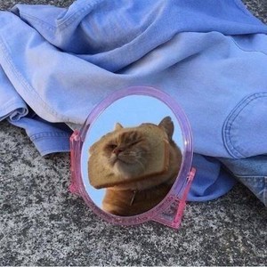 whatsapp官方正版 whatsapp网页版短信收不到 whatsapp官方正版 whatsapp网页版短信收不到