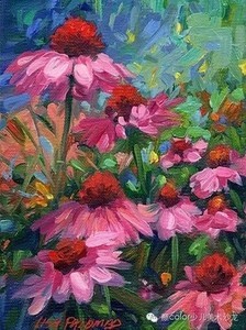 whatsapp官方正版 whatsapp网页版短信收不到 whatsapp官方正版 whatsapp网页版短信收不到