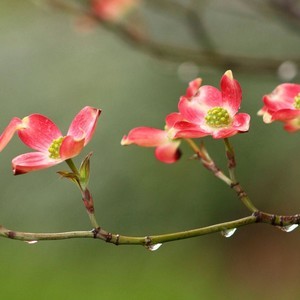 whatsapp网页版官网邮件被退回 whatsapp显示号码禁止使用 