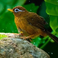 whatsapp 扫码 whatsapp 退出账号 