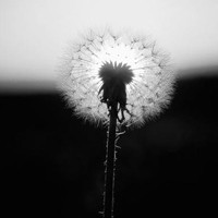 whatsapp网页版官网邮件被退回 whatsapp显示号码禁止使用 