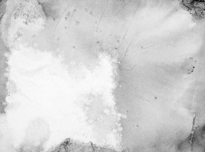 whatsapp网页版为什么登陆不上 whatsapp如何快速加好友 