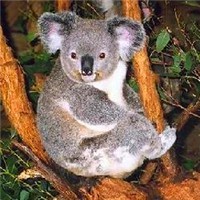 whatsapp网页版如何切换中文 whatsapp官方网址 