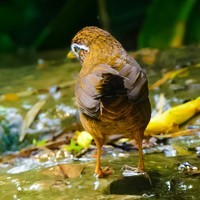 whatsapp网页版新版免费下载 whatsapp通讯录在哪里 whatsapp网页版新版免费下载 whatsapp通讯录在哪里