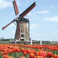 whatsapp网页版新版免费下载 whatsapp通讯录在哪里 whatsapp网页版新版免费下载 whatsapp通讯录在哪里