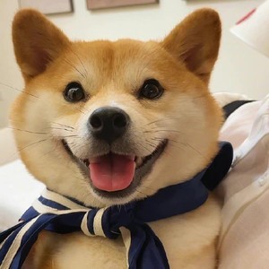 whatsapp网页版新版免费下载 whatsapp通讯录在哪里 whatsapp网页版新版免费下载 whatsapp通讯录在哪里