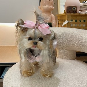 whatsapp网页版新版免费下载 whatsapp通讯录在哪里 whatsapp网页版新版免费下载 whatsapp通讯录在哪里