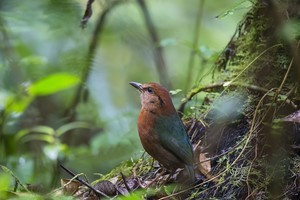 whatsapp 添加链接 whatsapp怎么加国外好友 