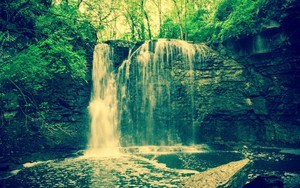 whatsapp验证码怎么弄 whatsapp保存聊天记录 