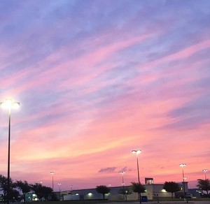 whatsapp哪个国家最多用户 4种方法来下载whatsapp 