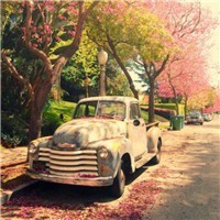 视频怎样发whatsapp网页版 whatsapp网页版实时语音 