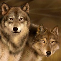 whatsapp账号删除后如何恢复 whatsapp怎么开发国外客户 