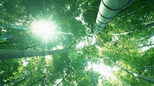 whatsapp账号删除后如何恢复 whatsapp怎么开发国外客户 