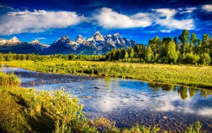 视频怎样发whatsapp网页版 whatsapp网页版实时语音 