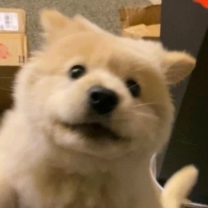 whatsapp群组个人昵称 whatsapp怎样退出账号 