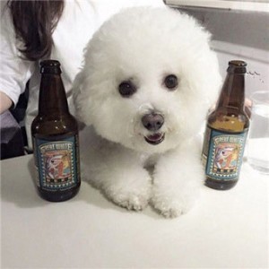 whatsapp群组个人昵称 whatsapp怎样退出账号 