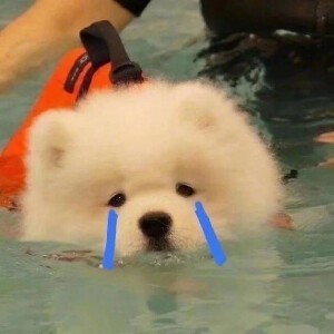 whatsapp群组个人昵称 whatsapp怎样退出账号 