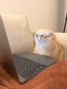 whatsapp的基本功能 whatsapp网页版电邮地址 whatsapp的基本功能 whatsapp网页版电邮地址