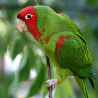 whatsapp多账号登陆平台 whatsapp群聊人数上限 