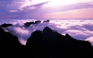 whatsapp群组个人昵称 whatsapp怎样退出账号 