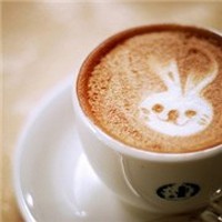 whatsapp群组个人昵称 whatsapp怎样退出账号 