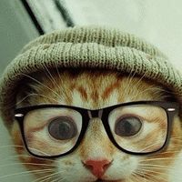 在国内怎么登陆whatsapp whatsapp网页版聊天收费 