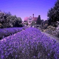 whatsapp网页版在日本的用户 whatsapp网页版语音怎么下载 