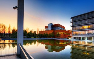 在国内怎么登陆whatsapp whatsapp网页版聊天收费 