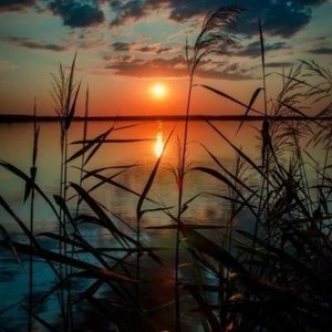 whatsapp不能视频 whatsapp网页版验证短信被屏蔽 