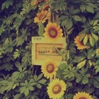 whatsapp不能视频 whatsapp网页版验证短信被屏蔽 