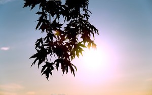 必威最新版官方网站首页官网 whatsapp网页版新手怎么发消息 必威最新版官方网站首页官网 whatsapp网页版新手怎么发消息