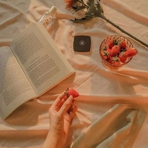 whatsapp网页版的官方网站 whatsapp网页版官方免费下载 