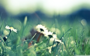 whatsapp网页版用户画像 安卓whatsapp如何添加好友 whatsapp网页版用户画像 安卓whatsapp如何添加好友