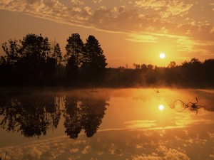 whatsapp网页版的官方网站 whatsapp网页版官方免费下载 