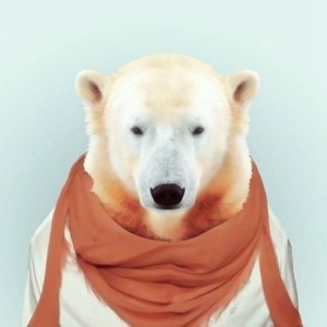 whatsapp网页版的官方网站 whatsapp网页版官方免费下载 