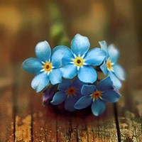 whatsapp网页版聊天用什么语言 whatsapp网页版 apk 下载 whatsapp网页版聊天用什么语言 whatsapp网页版 apk 下载